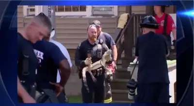 Alligator recovered from Milwaukee house fire