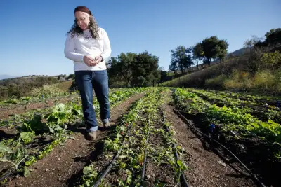 Nonprofit farm in Los Gatos helps feed those in need