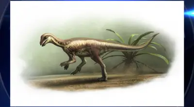New dog-sized dinosaur species discovered