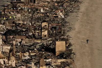 As wildfires scorch California, should insurers divest from fossil fuels?