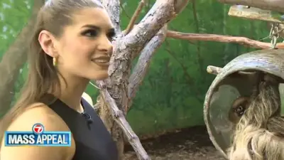 Mass Appeal: Animal Experiences at Stone Zoo