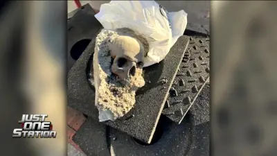 JUST ONE STATION: Apparent human skull unearthed in Boston’s Seaport