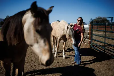 Horse lovers flock to southern Santa Clara County to ride and train. But a rezoning proposal has equine businesses there on edge.