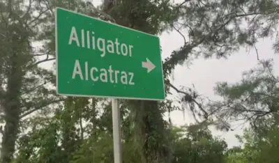Detainees describe worms in food, sewage near beds inside ‘Alligator Alcatraz’