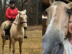 Hamilton town official severely injured, horse killed after biker allegedly spooked them on Ipswich trail