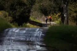 Midpen opens new cycle of grants for nature-focused projects
