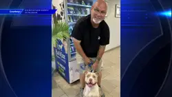 Dog reunites with owners in Daytona Beach eight months after Hurricane Milton