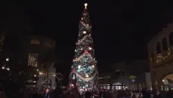 Guests gather in Orlando to witness Christmas tree lighting ceremony at Disney Springs