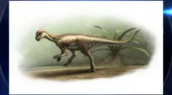 New dog-sized dinosaur species discovered
