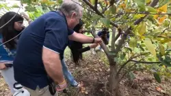 South Florida teacher helps students sow seeds to preserve rare orchid and find their passion
