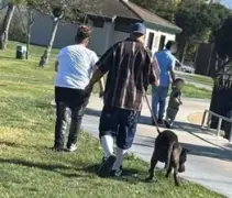Investigation underway into deadly dog attack in Fremont