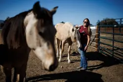 Horse lovers flock to southern Santa Clara County to ride and train. But a rezoning proposal has equine businesses there on edge.