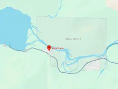 Grizzly attacks schoolchildren and teachers on a walking trail in Canada, injuring 11