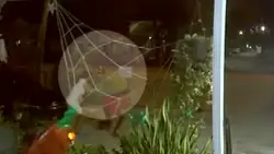 Surveillance video shows Little Havana birthday party shooting that injured 3; neighbor held without bond