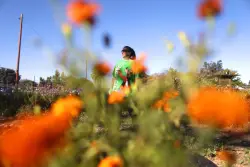 Share the Spirit: Meet the Bay Area nonprofit creating housing for people with special needs