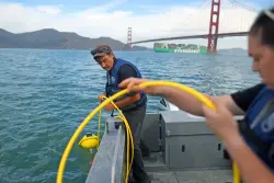 How a group tracking sounds beneath Bay Area waters hopes to protect whales from shipping lanes