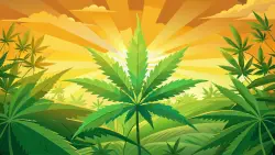 Why Cannabis Pairs Well with Travel