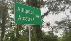 Detainees describe worms in food, sewage near beds inside ‘Alligator Alcatraz’