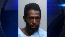 Woman pushed into Miami River pronounced dead