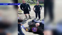 Fort Lauderdale Police officers rescue 12 ducklings trapped in storm drain